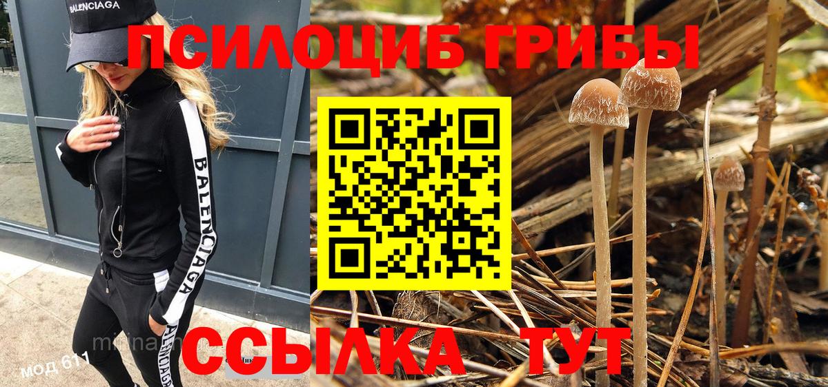 Южноуральск  наркота  Вход с VPN  Псилоцибиновые грибы Magic Shrooms 